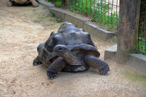 渋川動物公園